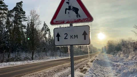 Road sign, caution "Wild animals". Stock Footage 226112092