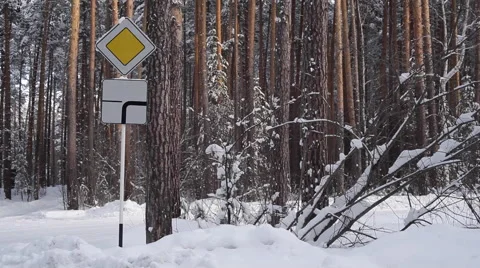 Road Sign a Priority Road in Snowy Forest 库存影片 65519259