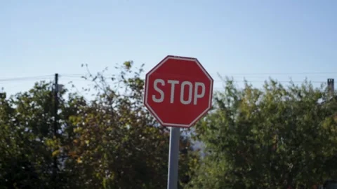 Road sign STOP. A close-up of the Stop sign against the background of foliage Stock Footage 315178041