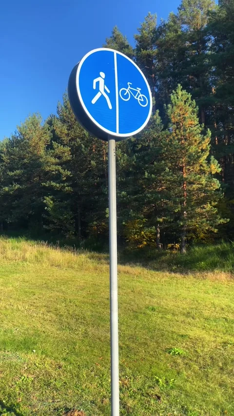 Road sign. Vertical video Stock Footage 290434916