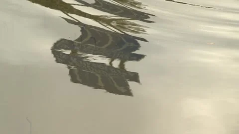 Road sign, waves reflected in water Stock Footage 276967476