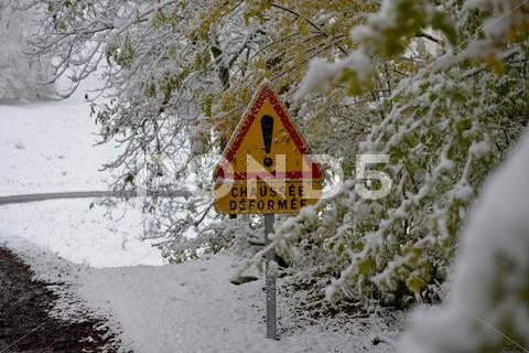 Road Sign In Winter