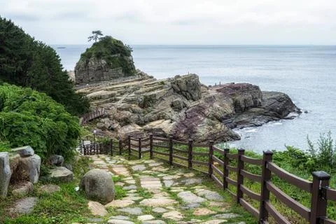 Road to Sinseondae cliffs Stock Photos