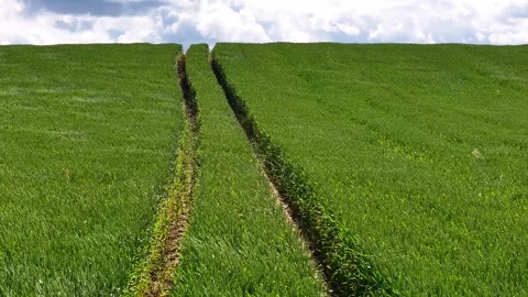 The road to the sky Stock Footage 321523849