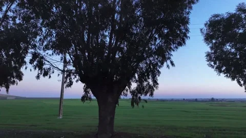 Road slow motion Stock Footage 327557932