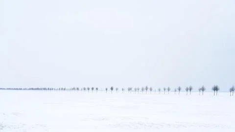 The road in the snow Foto stock