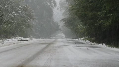 Road with snow, snowing Video stock 10318706