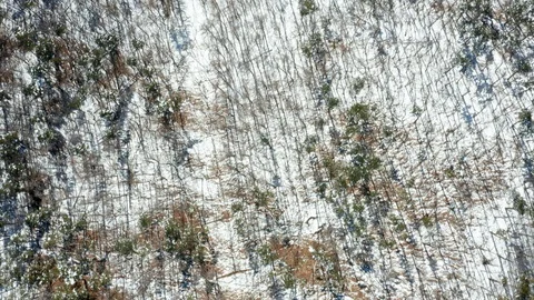 The road on snowy mountain_01 Stock Footage 104642198