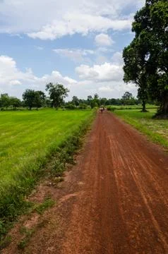 Road soil Stock Photos