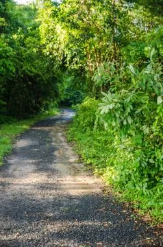 Road soil Stock Photos