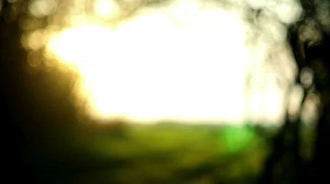Road sorrunded by bushes Stock Footage