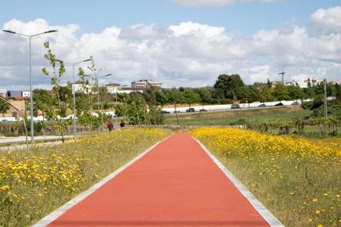 Road specially designed for bikes surrounded by marigolds Stock Photos