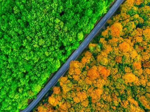Road splitting thick forest in two seasons. Autumn and summer, aerial view Stock Photos
