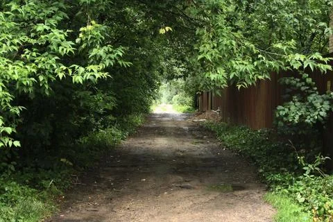 Road in spring forest Stock Photos