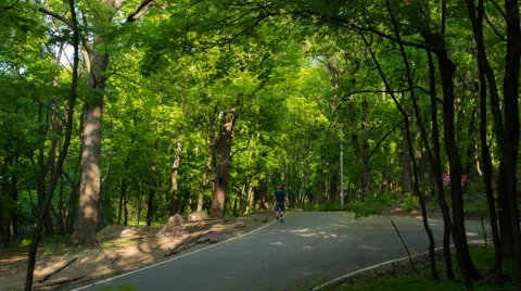 Road In Spring Forest. Time Lapse Stock Footage