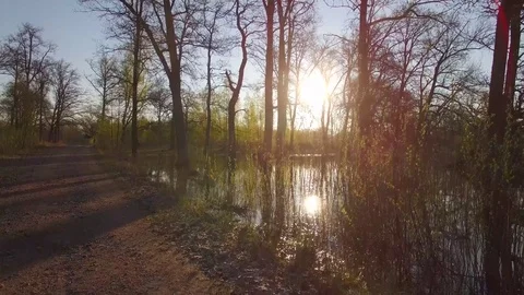 Road in spring park forest and high waters reflecting morning sun copter 4k Stock Footage 75040943