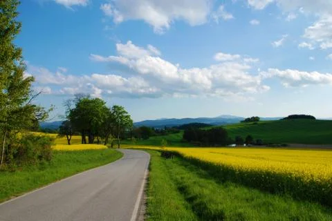 Road in the Spring Stock Photos
