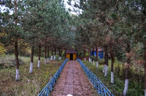 The road to the spring Stock Photos