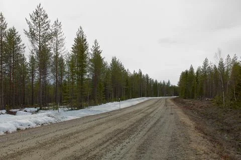 Road in spring. Stock Photos