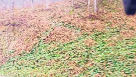 A road with a steep hill in the background Stock Footage 272721091