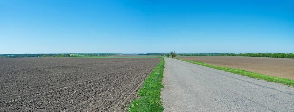 Road in steppe Stock Photos