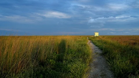 Road in the steppe at sunset Video stock 120255291