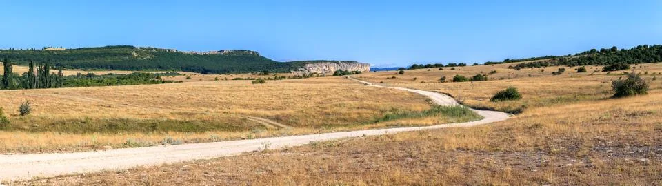 Road in the steppes 库存照片