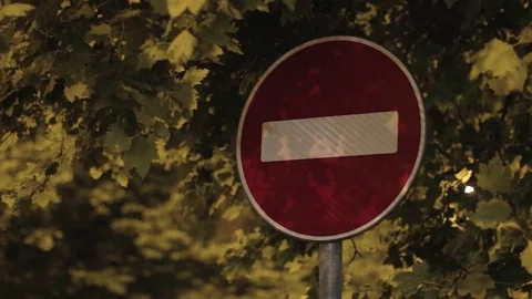 Road stop sign at night beneath foliage. Video stock 76736065