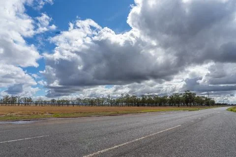 Road with storm clouds and trees Stock Photos