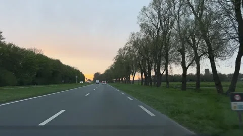 Road straight road with trees on both sides, in evening or early morning soft Stock Footage 342757329