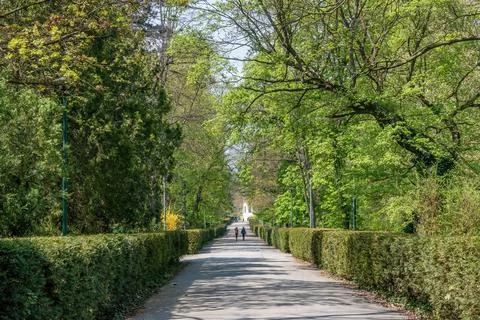 Road to Straznice Castle Stock Photos