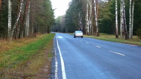Road stretches through trees in a quiet forest in autumn during late afternoon l Stock Footage 325024244