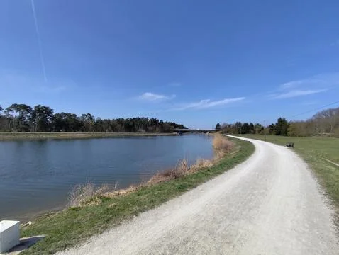Road summer river Foto stock