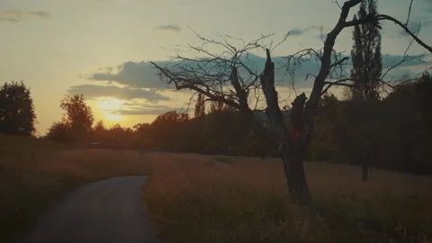 Road To The Sun 스톡 동영상 132266374