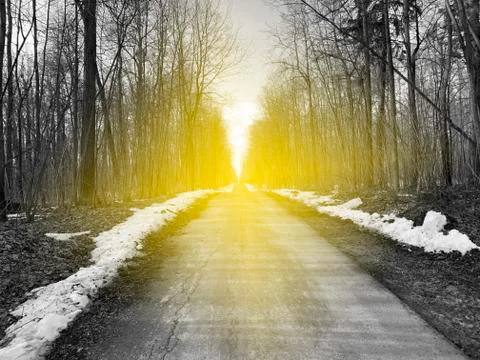 Road with sunlight Stock Photos
