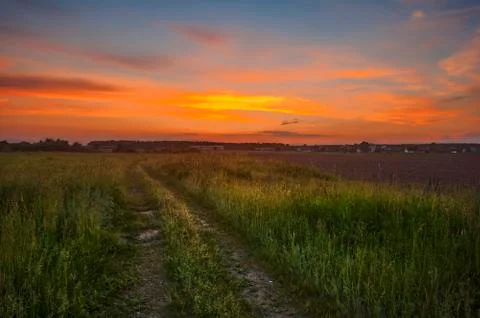 Road in sunset field Stock Photos