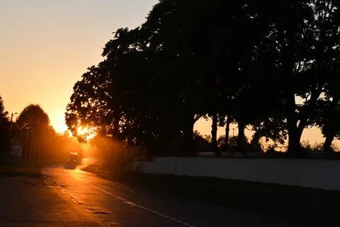 Road in the sunset light. next to it is a white fence behind which trees grow Stock Photos
