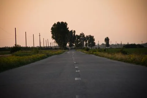 Road at sunset Foto stock