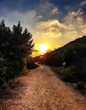 Road sunset Stock Photos