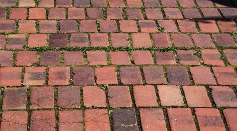 Road surface made of red bricks Фото