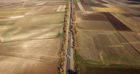 Road surrounded by brown and yellow trees Stock Footage 129635621