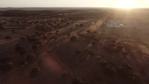 Road surrounded by cork oak fields at sunset in Alentejo Portugal aerial shot 4k Stock Footage 138240065