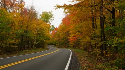 A road surrounded by fall foliage Stock Footage 166858821