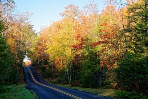 Road surrounded in fall foliage Stock Photos