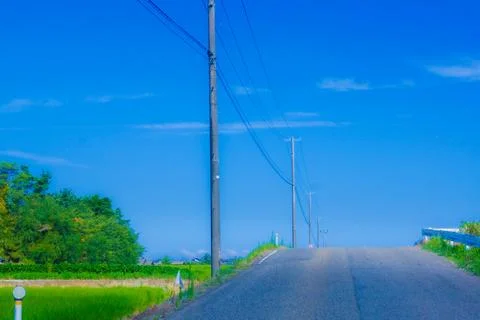 Road surrounded by greenery Stock Photos