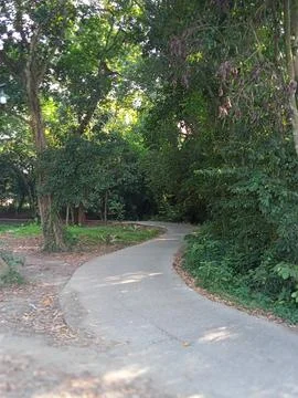 The road is surrounded by shady trees. Stock Photos