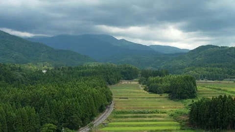 The road is surrounded by Tree forests and farms Stock Footage 263216004