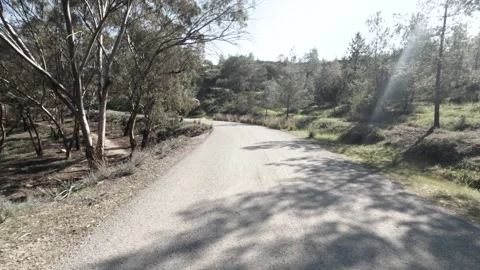 Road surrounded by trees in midday light, perfect for nature lovers Stock Footage 300963090