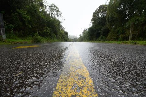 Road surrounded by trees showing the central strip Stock Photos