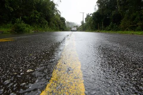 Road surrounded by trees showing the central strip Stock Photos